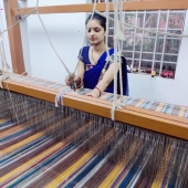 TPDDL Handloom